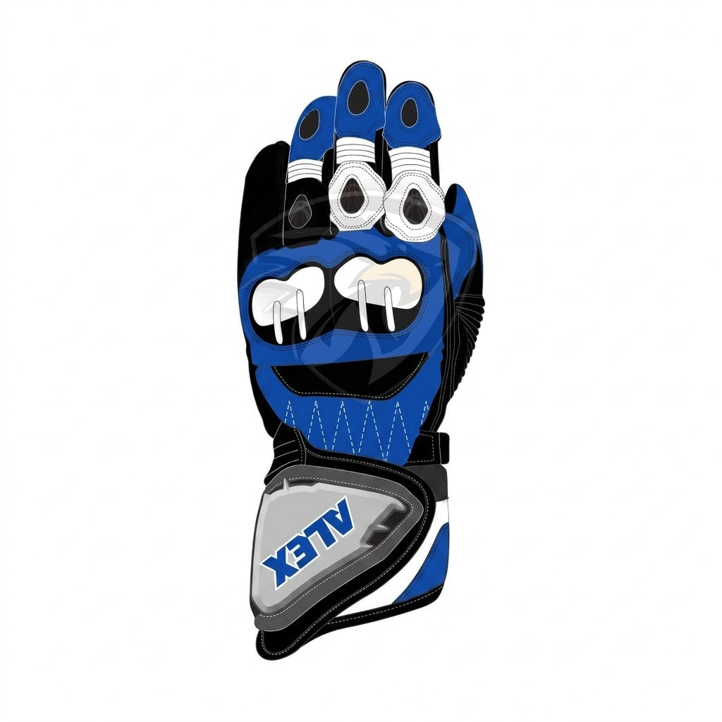 Alex Marquez MotoGP 2024 Race Gloves